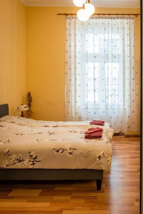 شقة Casa Max تيميشورا المظهر الخارجي الصورة